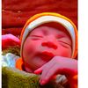 salman.rajput6650