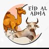 user4913184334414