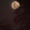 fatma.ibrahim638