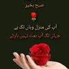 badisa312