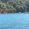 nilfer.altioglu
