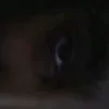 niko_yik.l