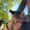 kittydou3a6