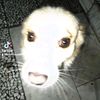 fereshteh.mokhtar8