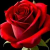 user765114083810