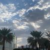 serene_119