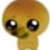ekokaief