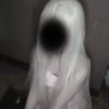 cisnechinita
