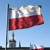 BrainrotPolski