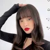 faylovefaouzia
