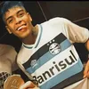 vinixzd