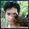 abcd_dcba041010