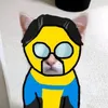 invincible_cat77