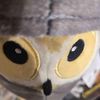 ibid.owl