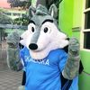 wowolbadutbaik