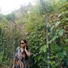 uma.chamlagain38