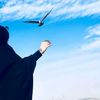 amna9585