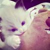naddsyaa_fanssgsky13