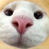 long_kokomasokolaboomboo