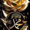 user3843861637841