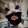 dugny4