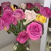 rume_786
