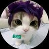 alise76548