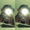 aleppp046
