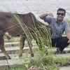 iman_sarkar