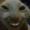 vaolamj6677