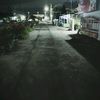 lanzz8491