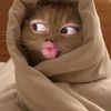 im_atinkerbell