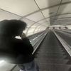 sqp_at