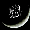 user9673804627279