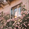 princesspolly146