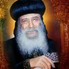 yassa.magdy