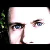 darkkeiber