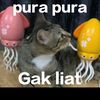 yang_lan15