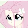 eyewindy