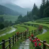 shehnaz_.arif