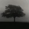 desten404error