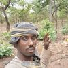 omar.alsharif01