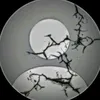 oz_b2oo