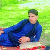 shuokat.khan71