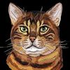 bengalcat_soc