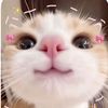 mirandathebest813