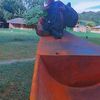 andrymartinez005
