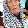 user7980737882807