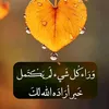 user49095503087628