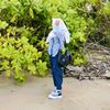 2_pir13